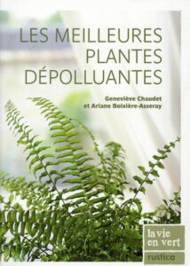 meilleures plantes depolluantes