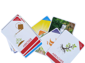 Jeu Métanature développement